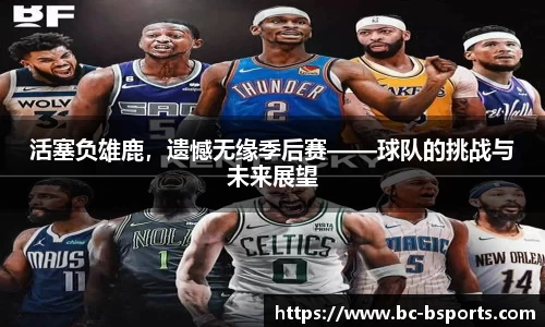 B体育