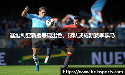 B体育