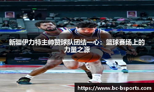 B体育官方