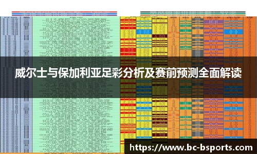 B体育