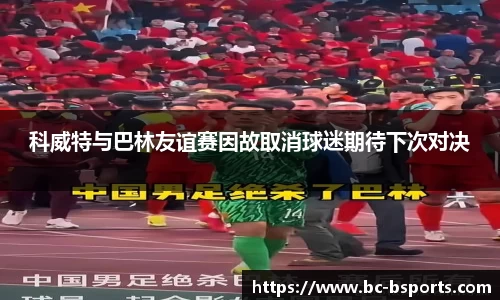 B体育官方网站